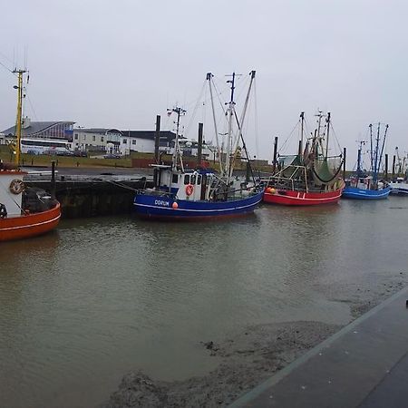 Nordsee Und Natur. Gemuetliche Fewo Mit Deichblick Dorum-Neufeld Esterno foto
