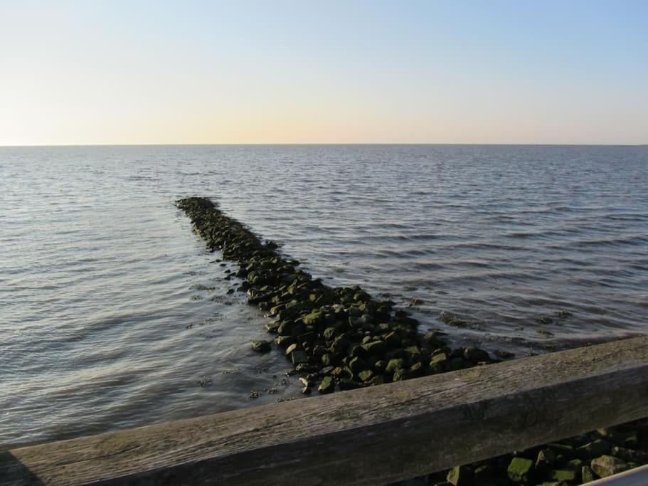 Nordsee Und Natur. Gemuetliche Fewo Mit Deichblick Dorum-Neufeld Esterno foto