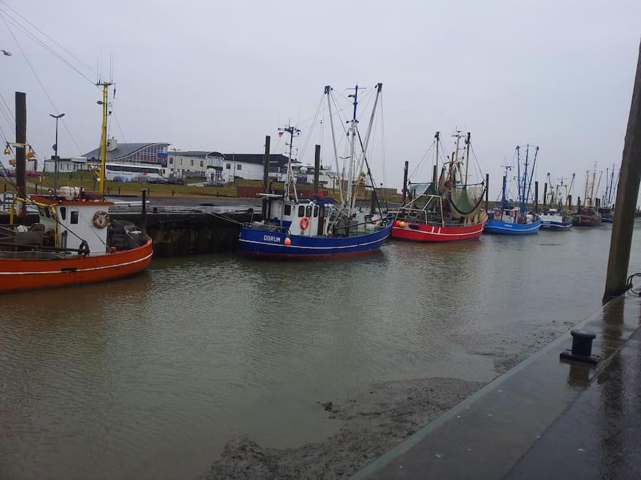 Nordsee Und Natur. Gemuetliche Fewo Mit Deichblick Dorum-Neufeld Esterno foto